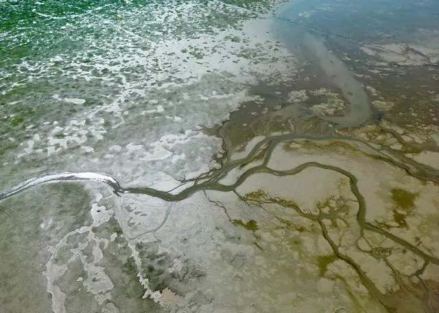 长江流域干旱！长江海运航路大幅收窄，货船减载